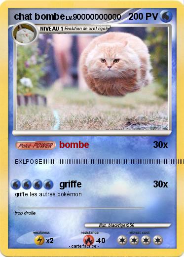 Pokemon chat bombe