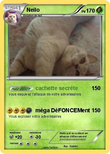 Pokemon Neilo