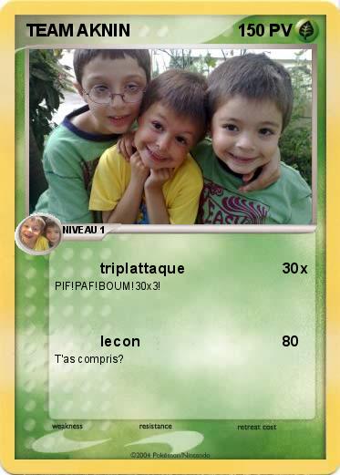 Pokemon TEAM AKNIN