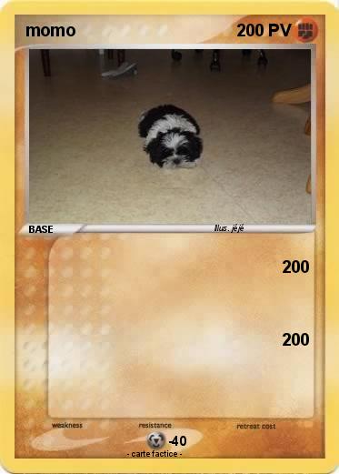 Pokemon momo