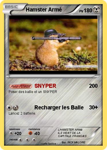 Pokemon Hamster Armé