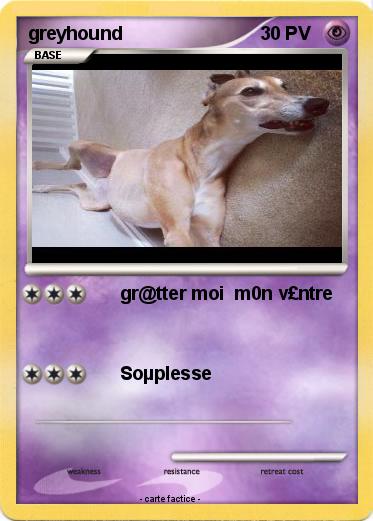 Pokemon greyhound