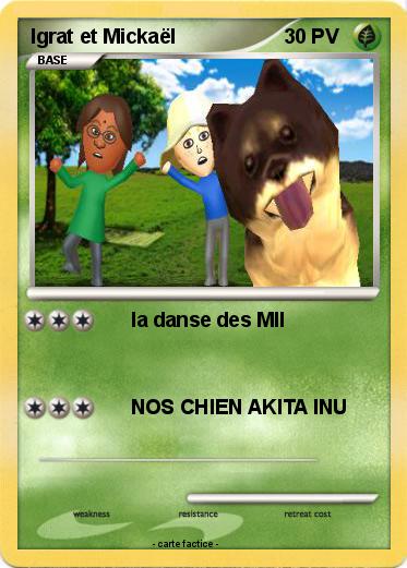 Pokemon Igrat et Mickaël