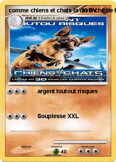 Pokemon comme chiens et chats la revanche de Kitty Galore ( film ) 2010