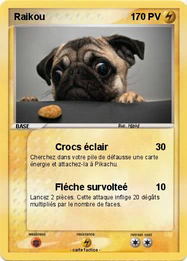 Pokemon Raikou