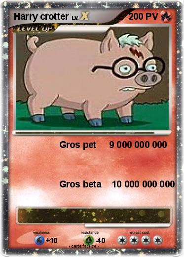 Pokemon Harry crotter