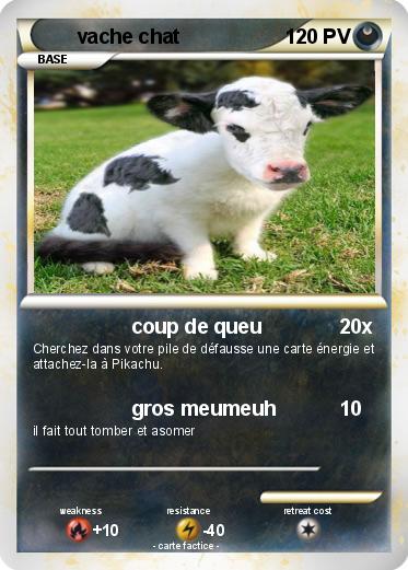 Pokemon vache chat