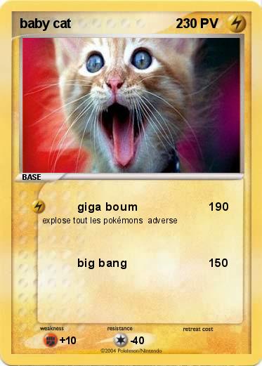 Pokemon baby cat                             2                 