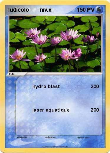 Pokemon ludicolo       niv.x                            