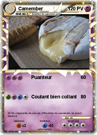 Pokemon Camember