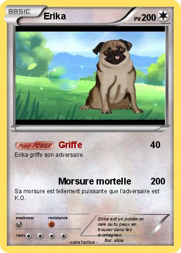 Pokemon Erika