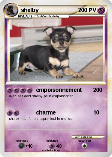 Pokemon shelby