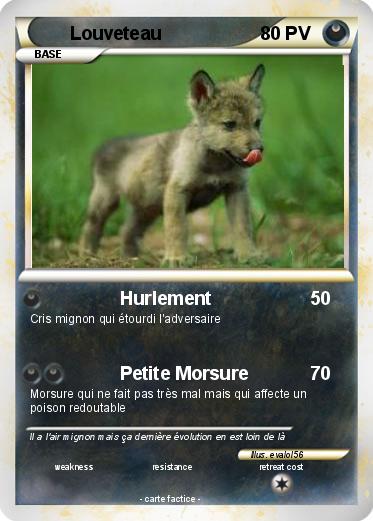 Pokemon Louveteau