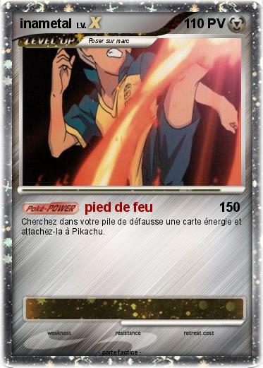 Pokemon inametal