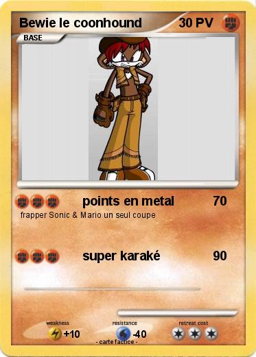 Pokemon Bewie le coonhound