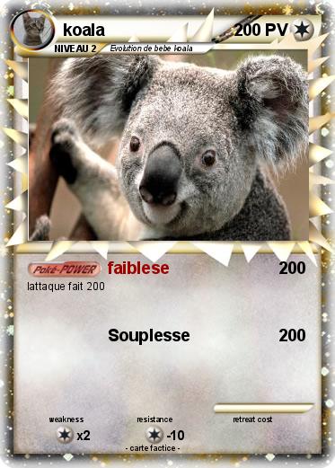Pokemon koala