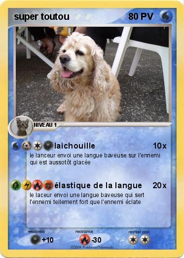 Pokemon super toutou