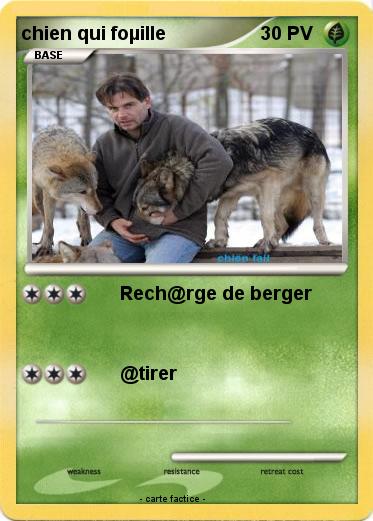 Pokemon chien qui foµille