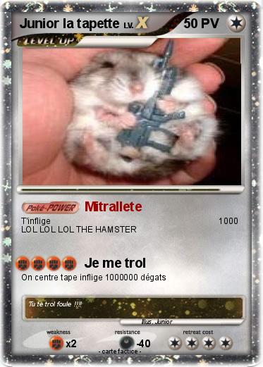 Pokemon Junior la tapette