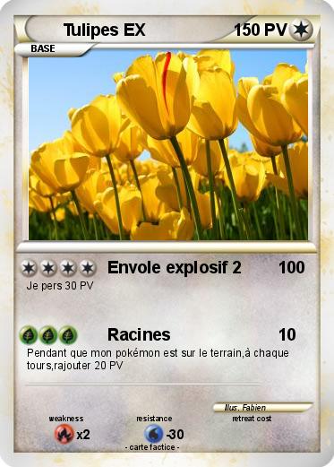 Pokemon Tulipes EX