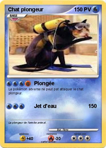 Pokemon Chat plongeur