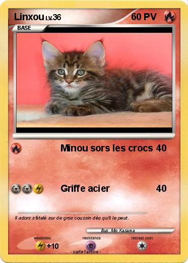 Pokemon Linxou