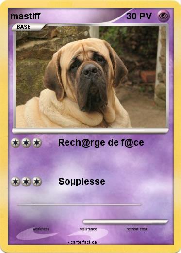 Pokemon mastiff