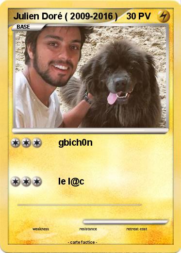 Pokemon Julien Doré ( 2009-2016 )
