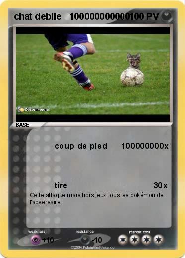 Pokemon chat debile   100000000000