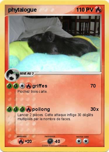 Pokemon phytalogue