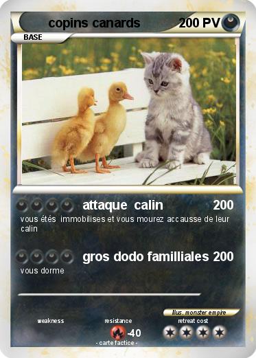 Pokemon copins canards