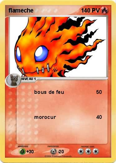 Pokemon flameche