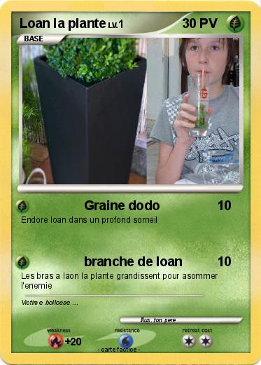 Pokemon Loan la plante