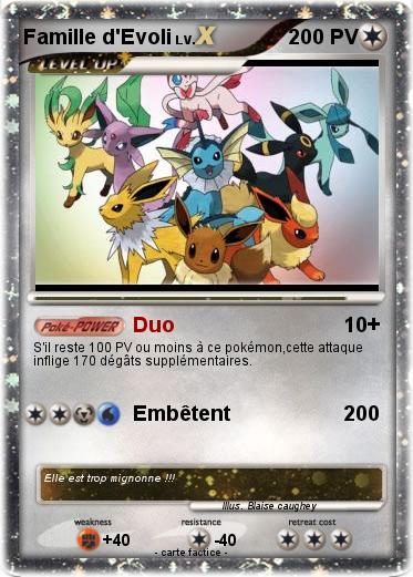 Pokemon Famille d'Evoli