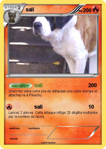 Pokemon sali
