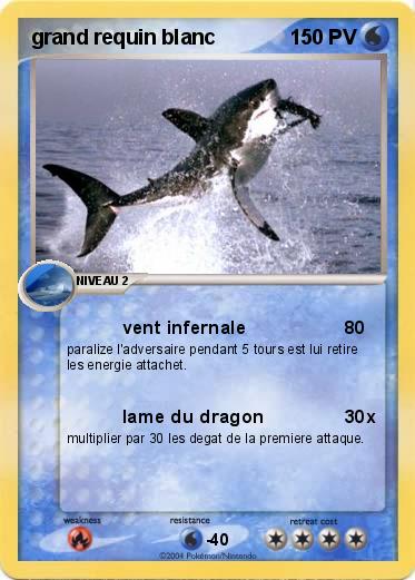 Pokemon grand requin blanc
