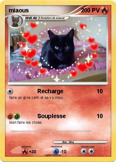Pokemon miaous