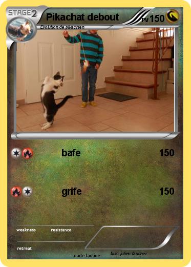 Pokemon Pikachat debout