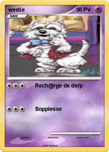 Pokemon westie