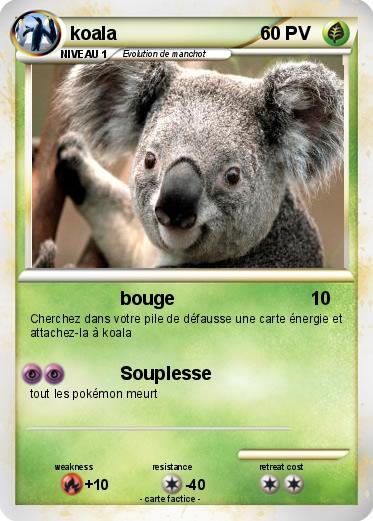 Pokemon koala