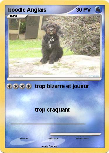 Pokemon boodle Anglais