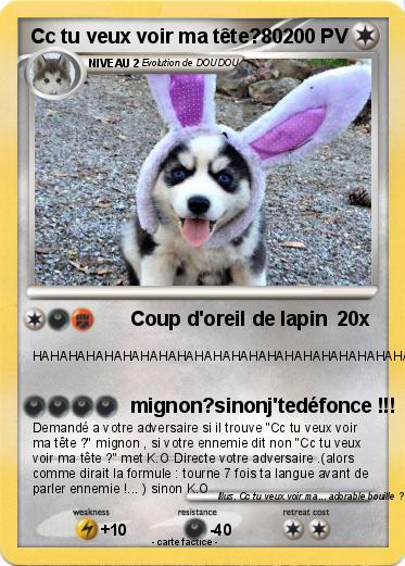 Pokemon Cc tu veux voir ma tête?80