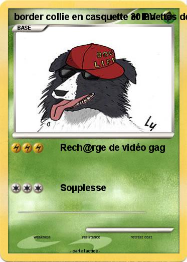 Pokemon border collie en casquette et lunettes de soleil