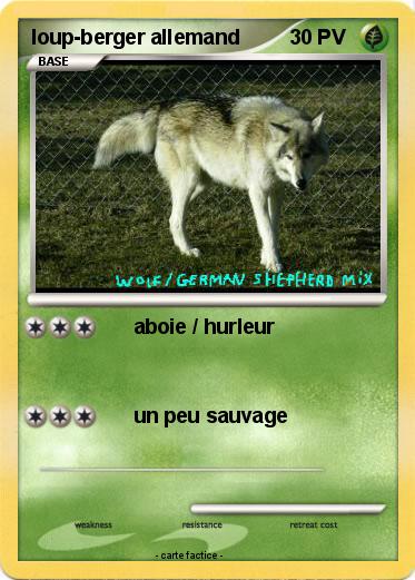Pokemon loup-berger allemand