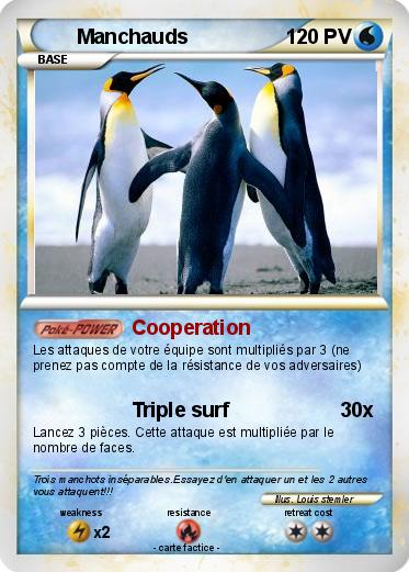 Pokemon Manchauds