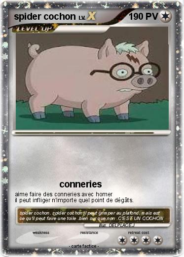 Pokemon spider cochon