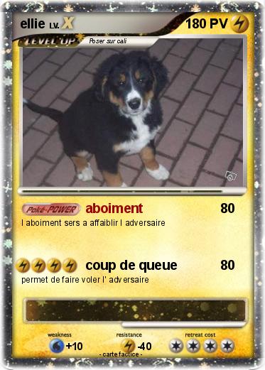 Pokemon ellie