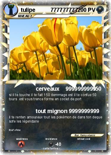 Pokemon tulipe          777777777