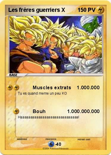 Pokemon Les frères guerriers X