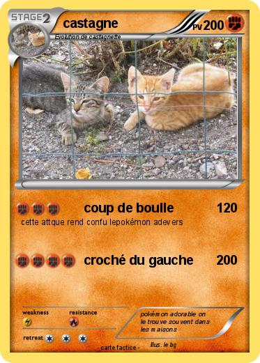 Pokemon castagne